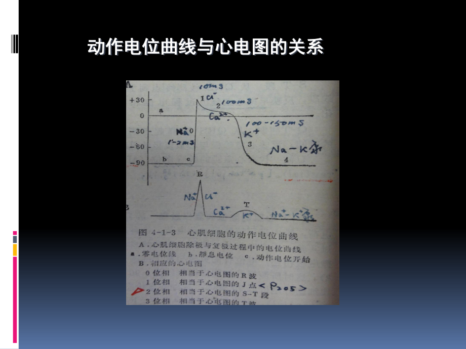 电解质药物与心律失常课件.pptx_第3页