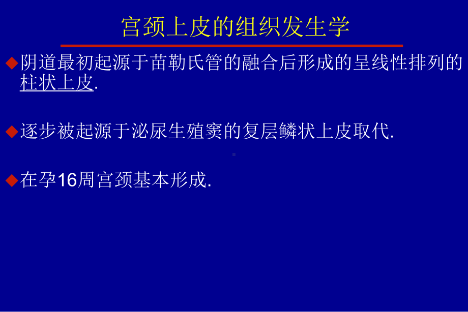 正常宫颈专业医学知识宣讲讲义课件.ppt_第3页