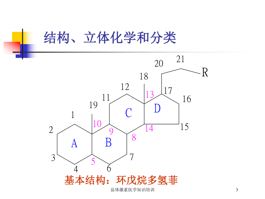 甾体激素医学知识培训培训课件.ppt_第3页