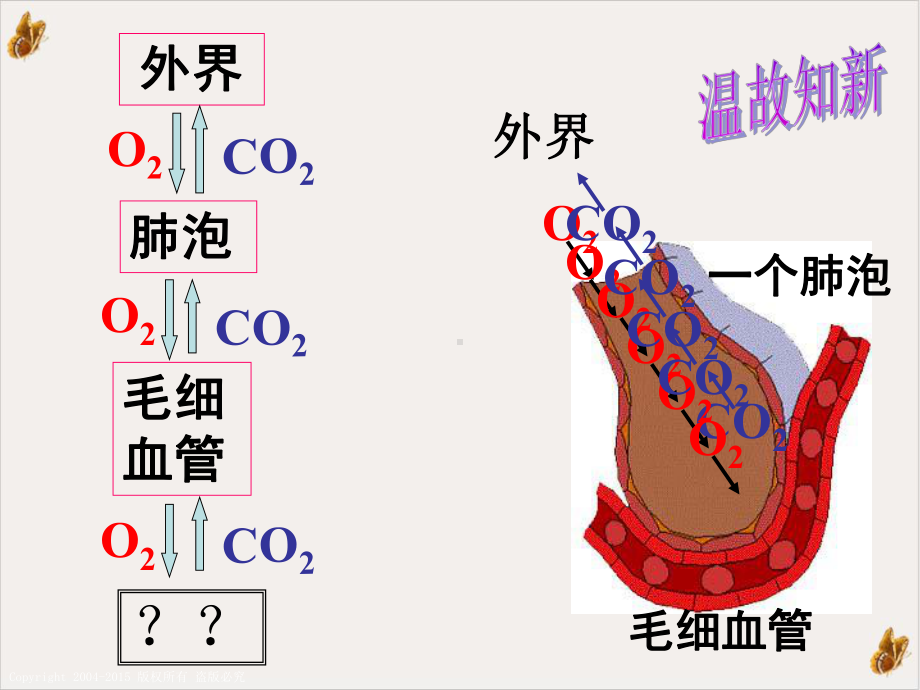 生物呼吸和呼吸作用时课件.pptx_第1页