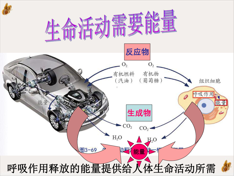 生物呼吸和呼吸作用时课件.pptx_第3页