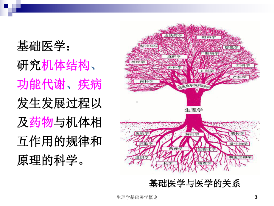 生理学基础医学概论课件.ppt_第3页