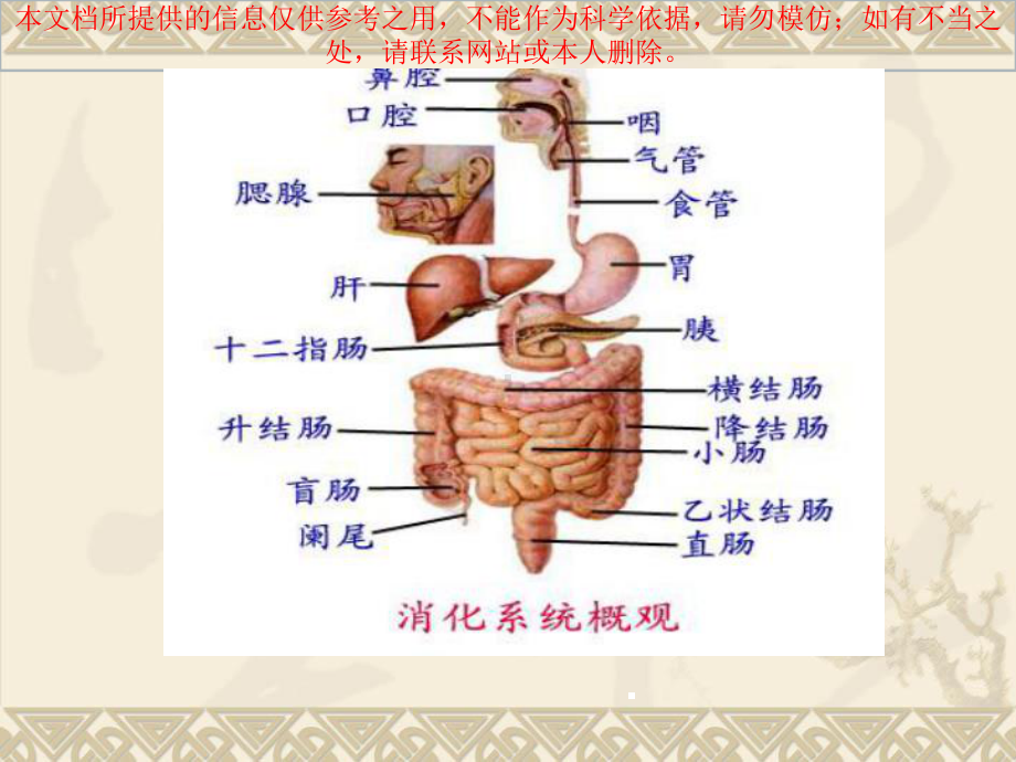 消化道大出血的处置培训课件.ppt_第2页