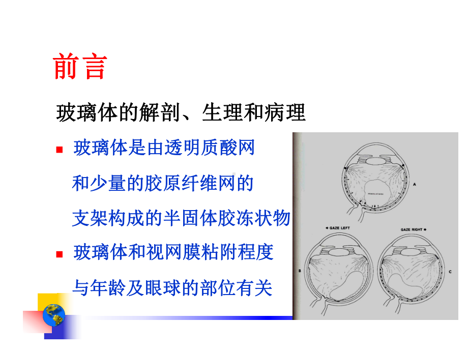 玻璃体手术讲稿教材课件.ppt_第2页