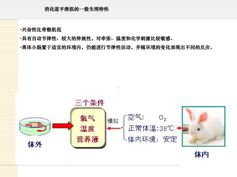 消化道平滑肌生理特性与药物影响课件.ppt_第3页