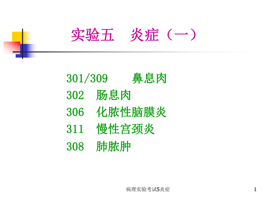 病理实验考试5炎症课件.ppt_第1页