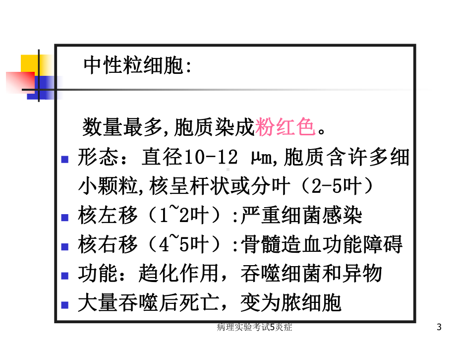 病理实验考试5炎症课件.ppt_第3页