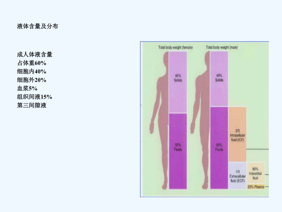 水电解质紊乱综合征课件.ppt_第2页