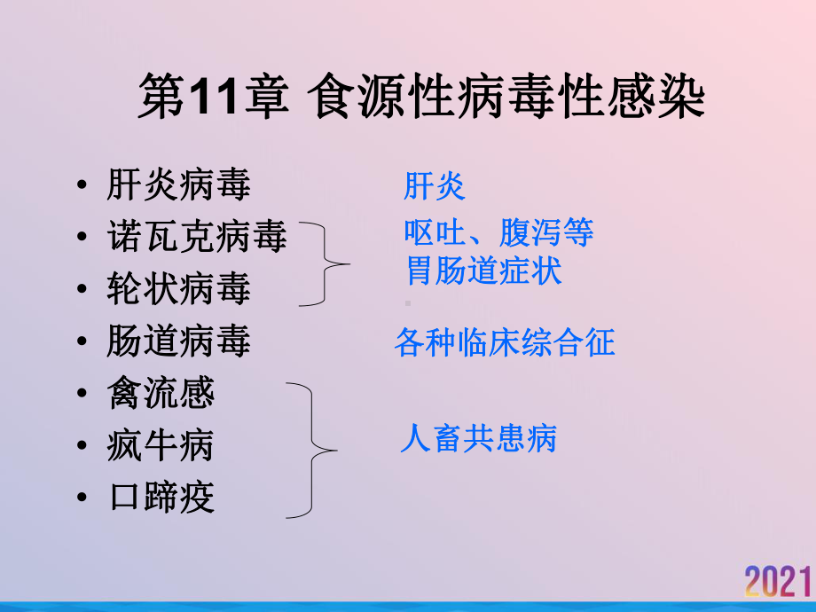 病毒性肝炎甲肝和戊肝课件.ppt_第2页