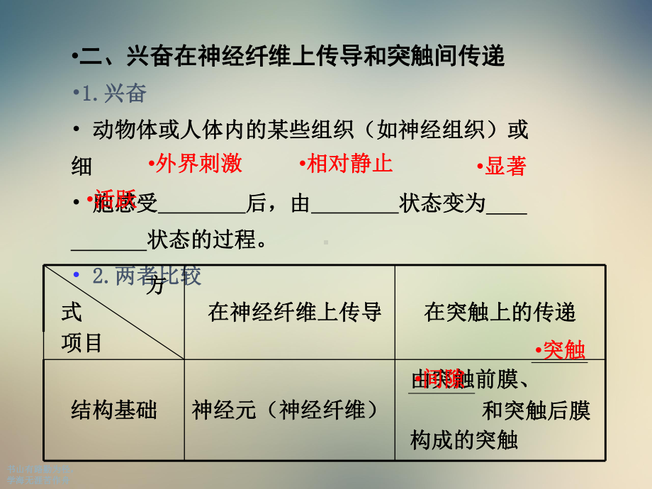 生物复习之神经系统的调节必备知识课件.ppt_第3页