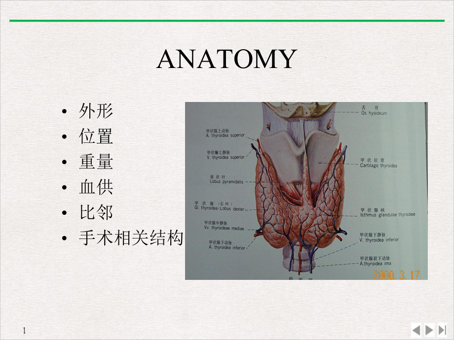 甲状腺疾病教程课件.pptx_第1页