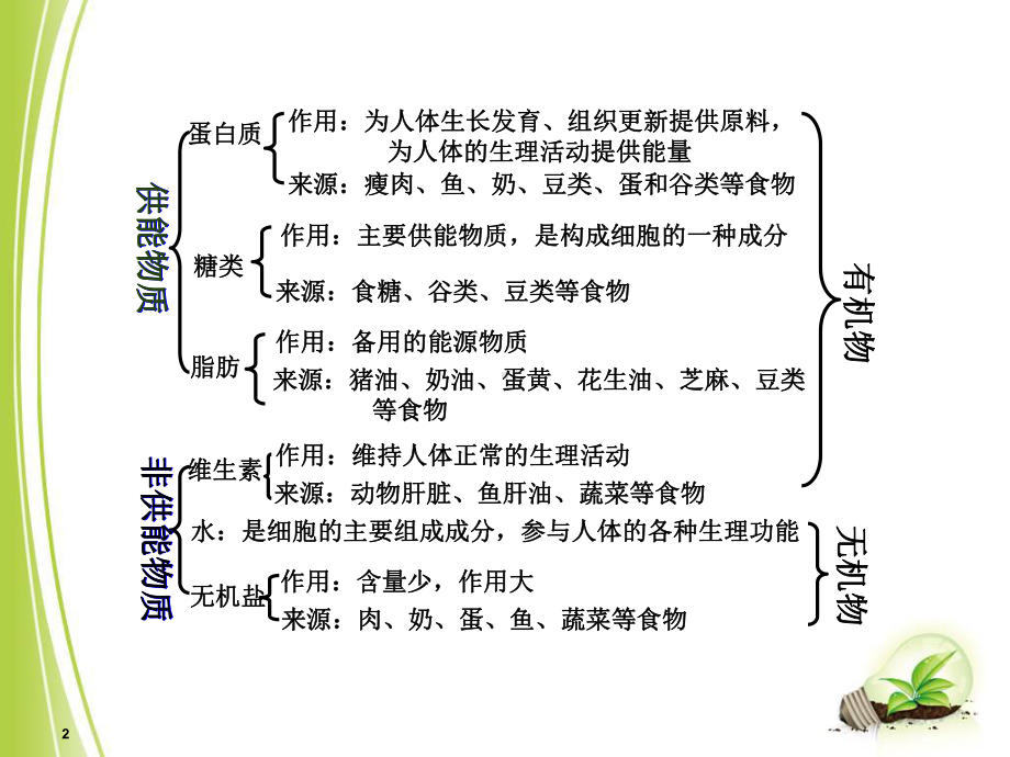 消化系统(讲课用)课件.ppt_第2页