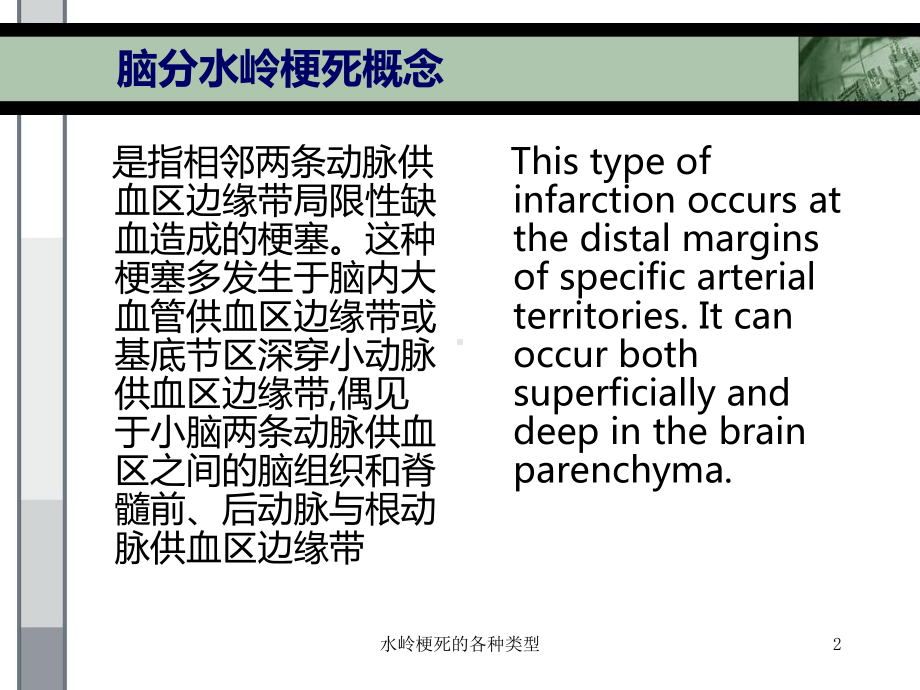 水岭梗死的各种类型培训课件.ppt_第2页