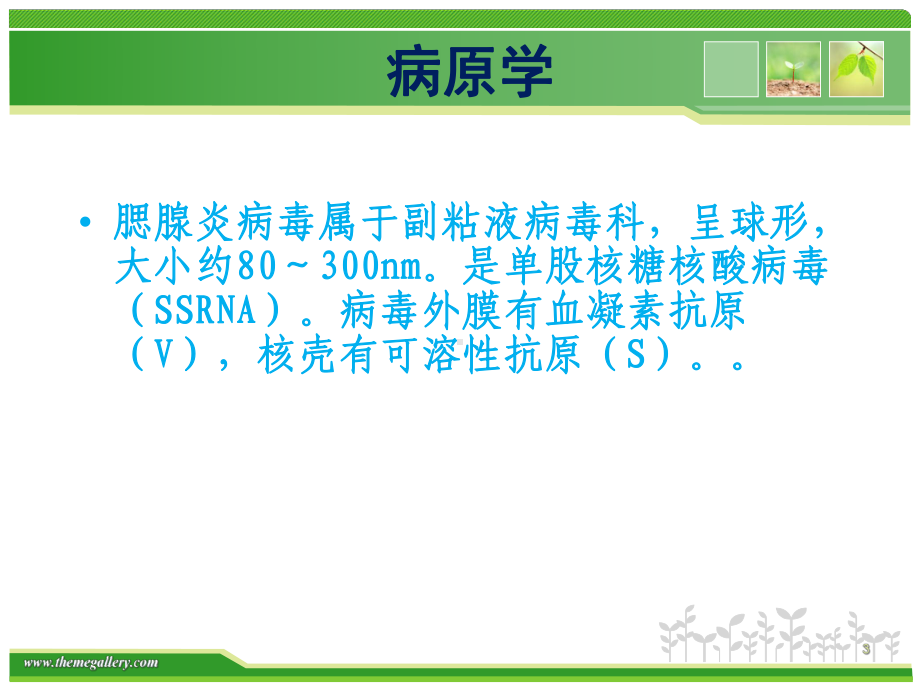 流行性腮腺炎护理教材课件.ppt_第3页