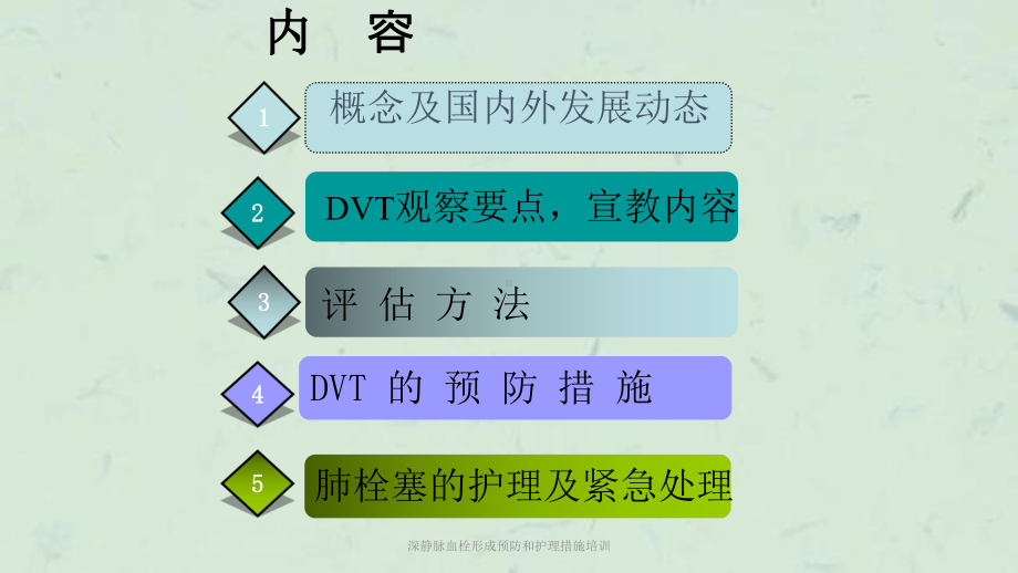 深静脉血栓形成预防和护理措施培训课件.ppt_第2页