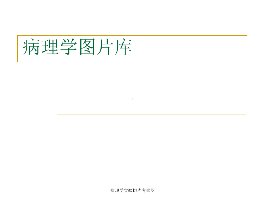 病理学实验切片考试图-课件.ppt_第2页