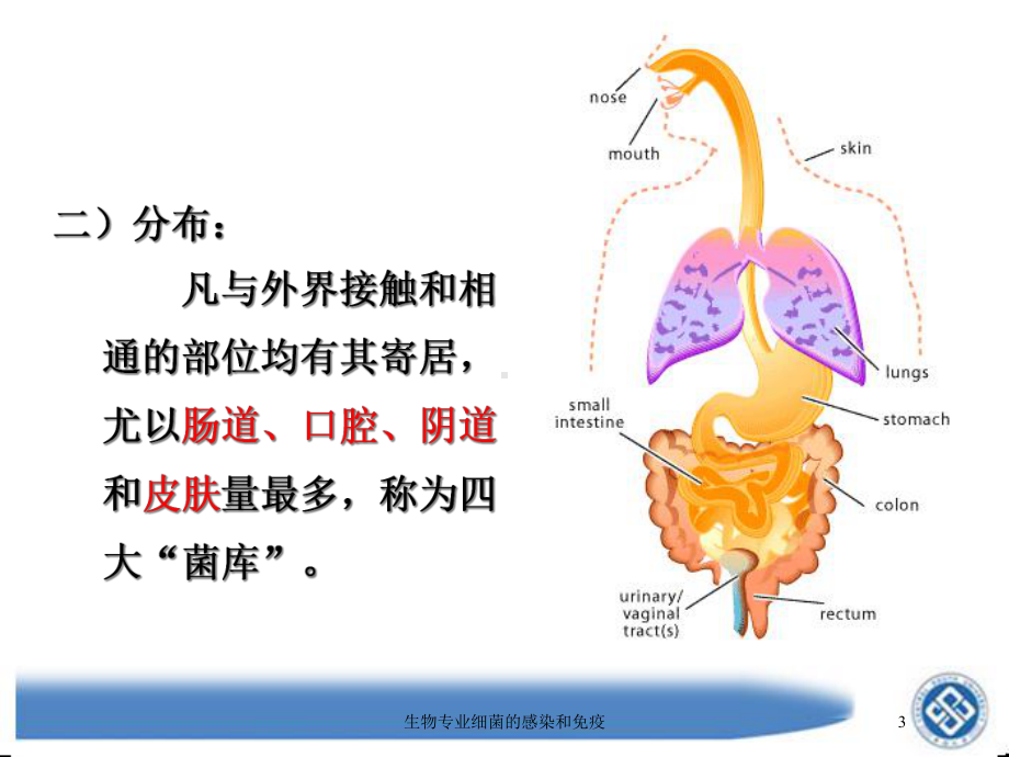 生物专业细菌的感染和免疫培训课件.ppt_第3页