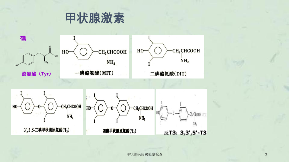 甲状腺疾病实验室检查课件.ppt_第3页