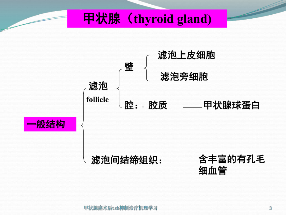 甲状腺癌术后tsh抑制治疗机理学习课件.ppt_第3页