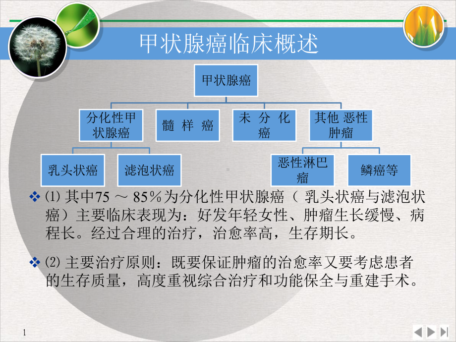 甲状腺癌的颈部淋巴结清扫原则优质课件.pptx_第2页