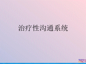 治疗性沟通系统课件.ppt