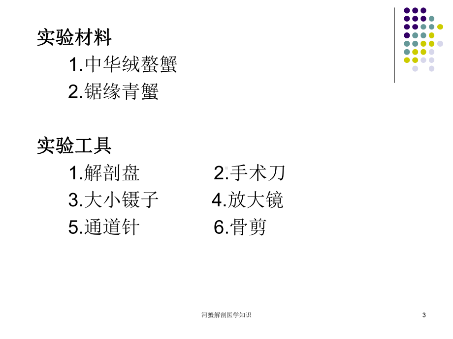 河蟹解剖医学知识培训课件.ppt_第3页