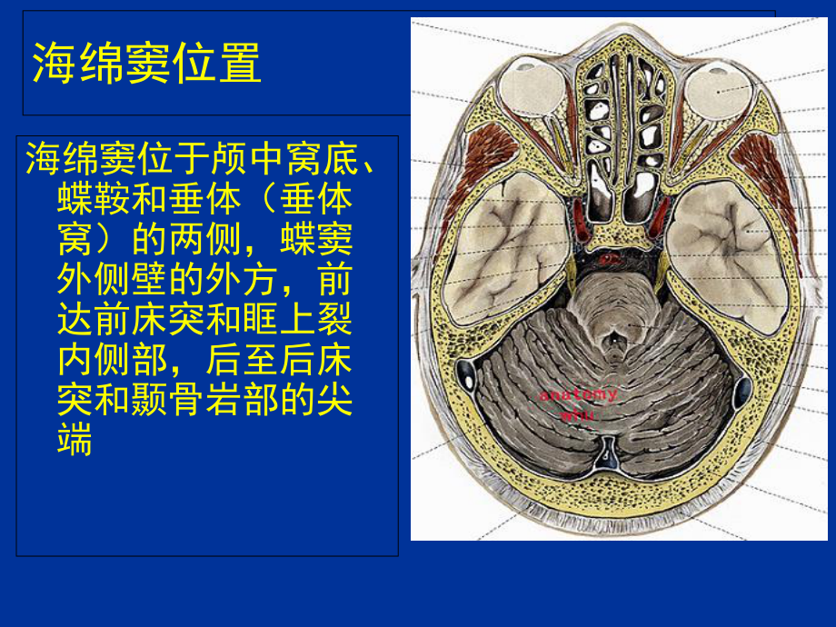 海绵窦综合征课件.ppt_第3页