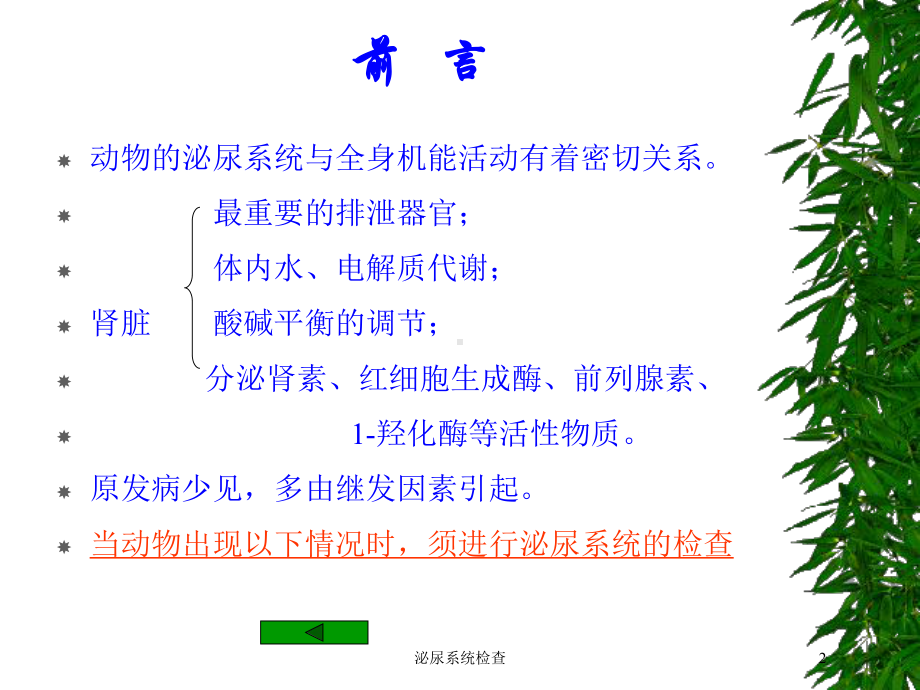 泌尿系统检查培训课件.ppt_第2页