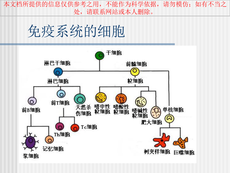 淋巴细胞亚群的临床应用培训课件.ppt_第2页