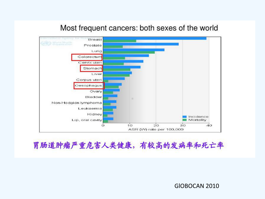 热疗在消化道肿瘤综合治疗中的地位课件.ppt_第2页