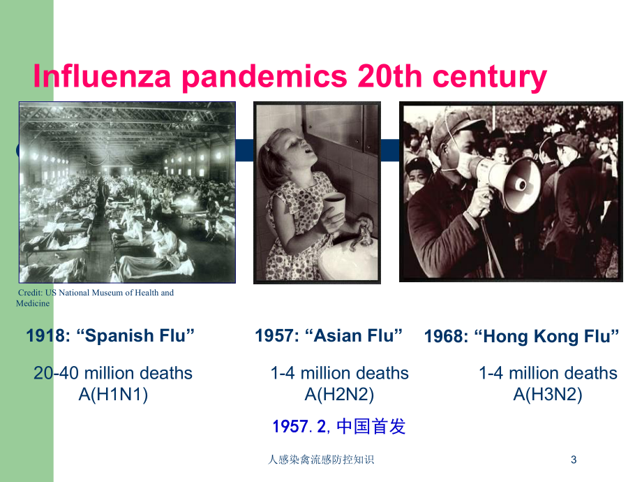 人感染禽流感防控知识培训课件1.ppt_第3页