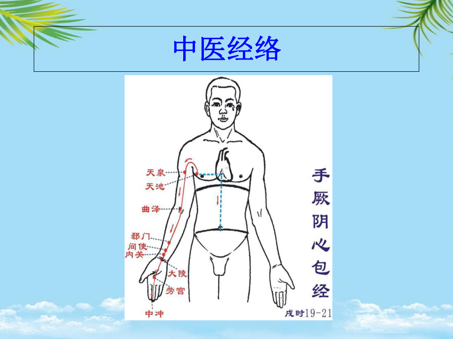 中医文化手厥阴心包经剖析.ppt_第1页