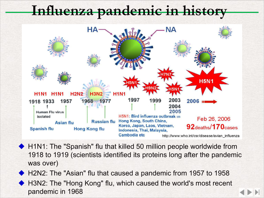 流感病毒专题课件-2.pptx_第2页
