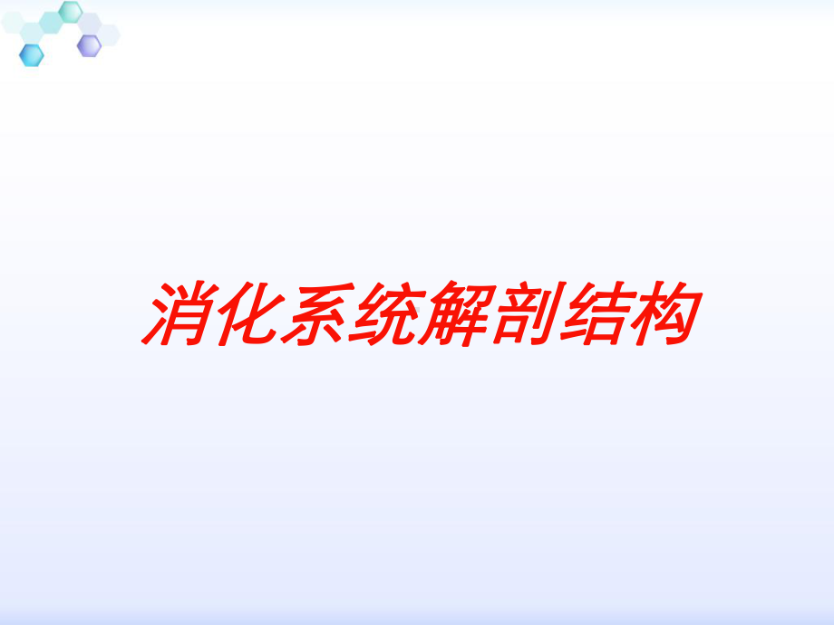 消化系统解剖结构培训课件.ppt_第1页