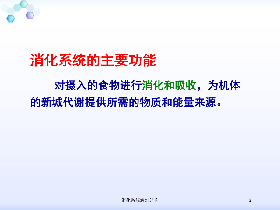 消化系统解剖结构培训课件.ppt_第2页