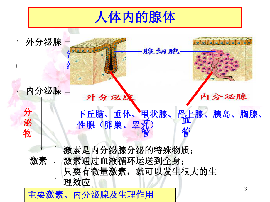 激素调节医学课件.ppt_第3页