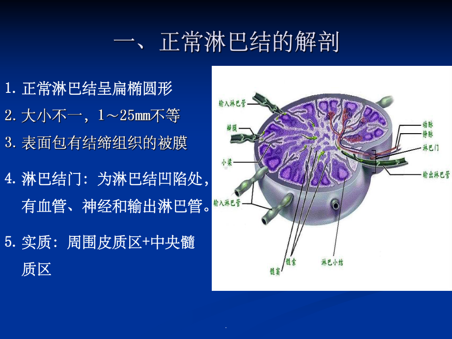 浅表淋巴结超声诊断课件.ppt_第3页