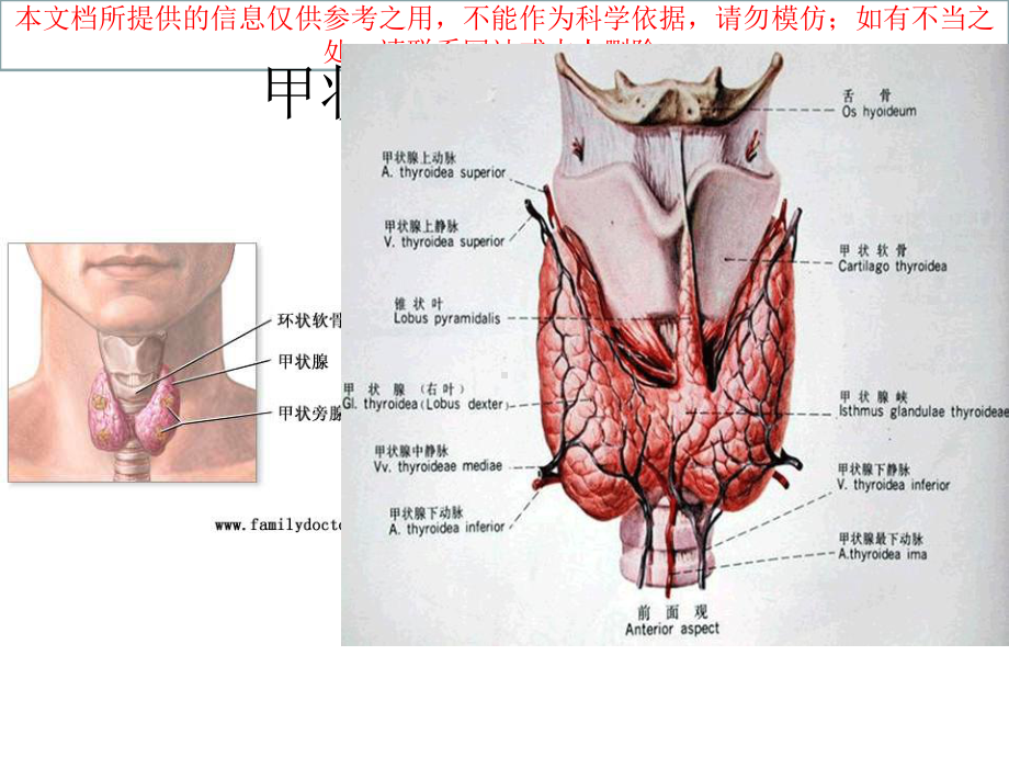 甲亢病人的医疗护理讲座培训课件.ppt_第2页