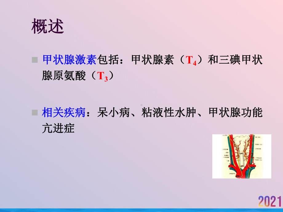 甲状腺胰岛素课件-2.ppt_第2页