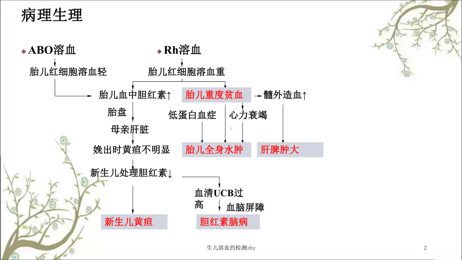 生儿溶血的检测zhy课件.ppt_第2页