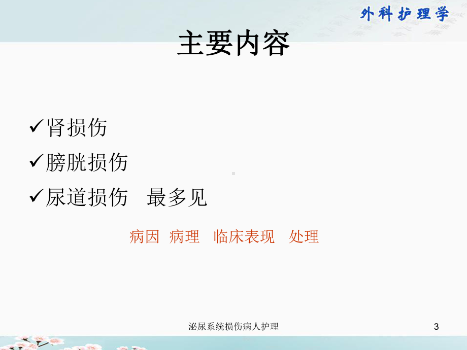 泌尿系统损伤病人护理培训课件.ppt_第3页