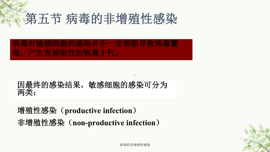 病毒的非增殖性感染课件.ppt_第1页