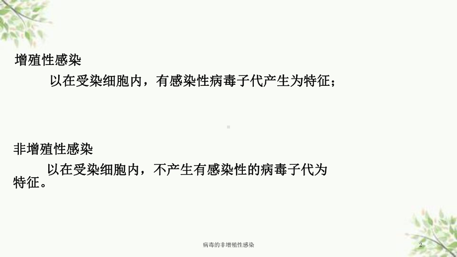 病毒的非增殖性感染课件.ppt_第2页