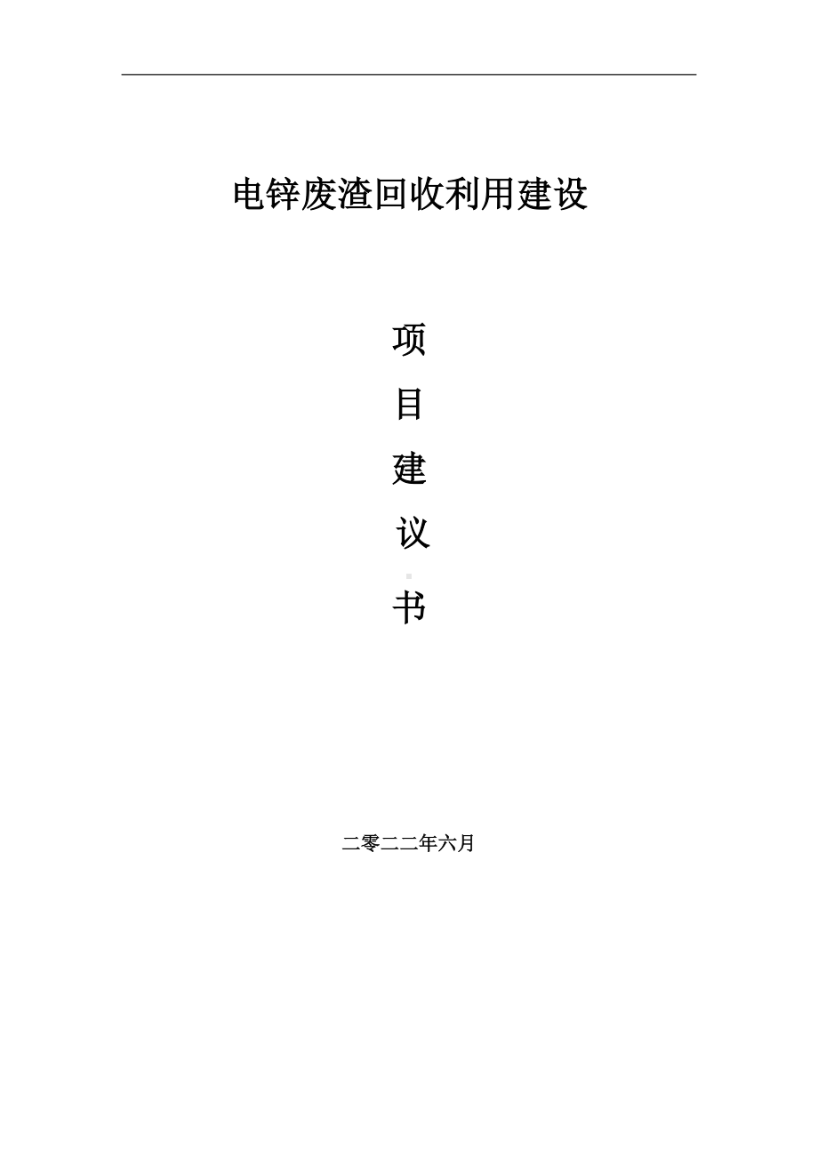 电锌废渣回收利用项目建议书（写作模板）.doc_第1页