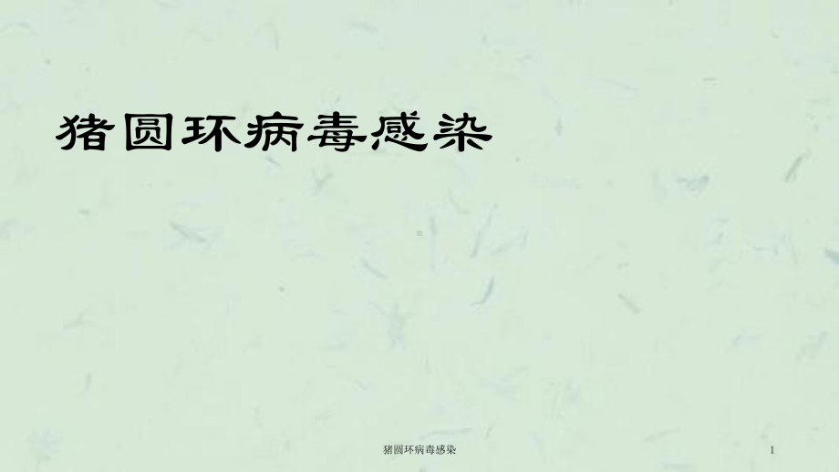 猪圆环病毒感染课件.ppt_第1页