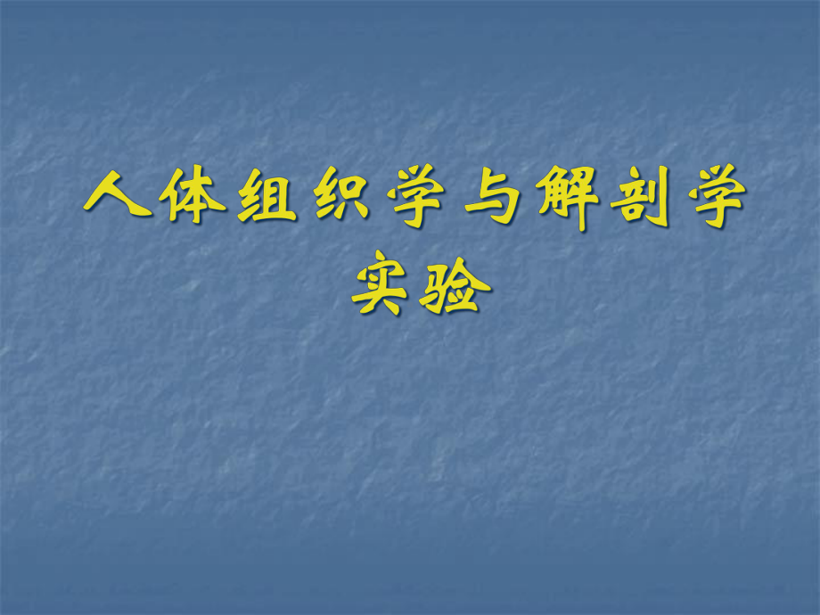 消化系统组成及各部分结课件.pptx_第1页