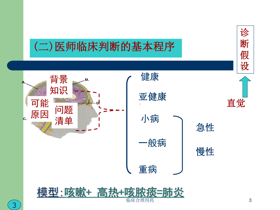 临床合理用药培训课件2.ppt_第3页