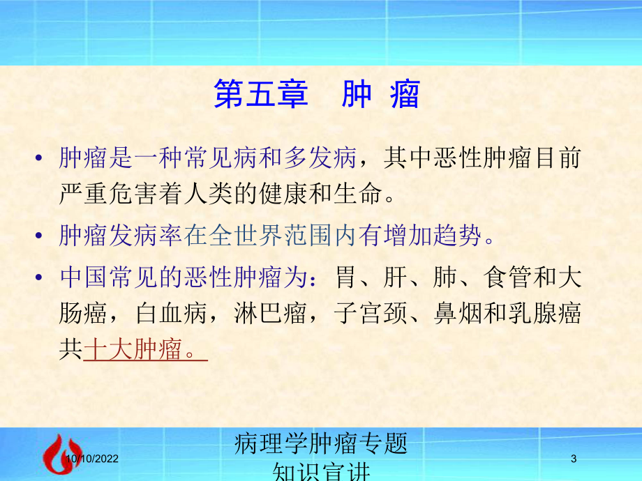 病理学肿瘤专题知识宣讲培训课件.ppt_第3页