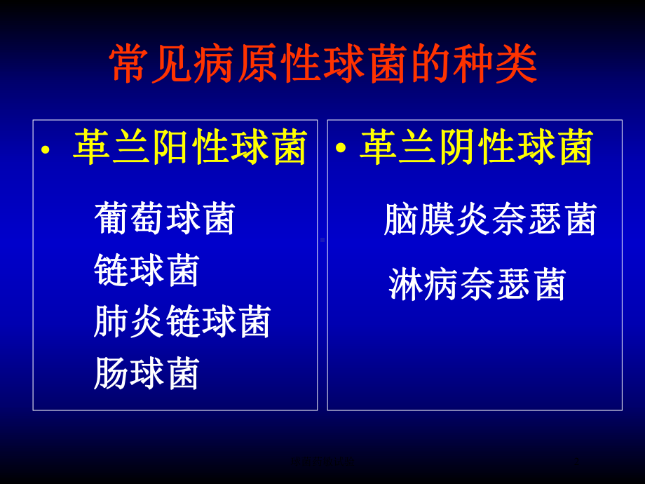 球菌药敏试验培训课件.ppt_第2页