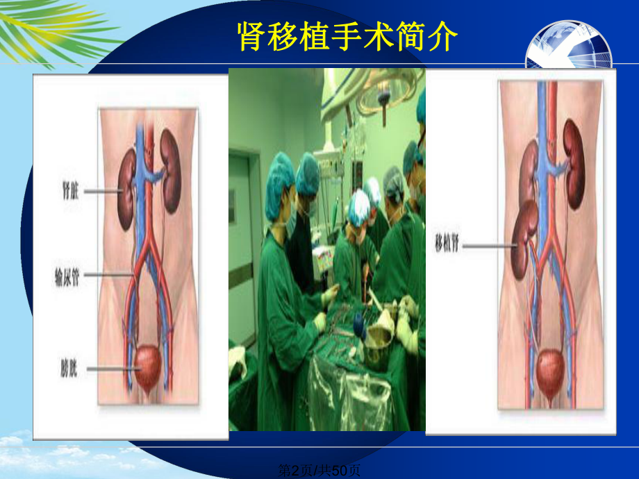 泌尿系感染全面版课件.pptx_第2页